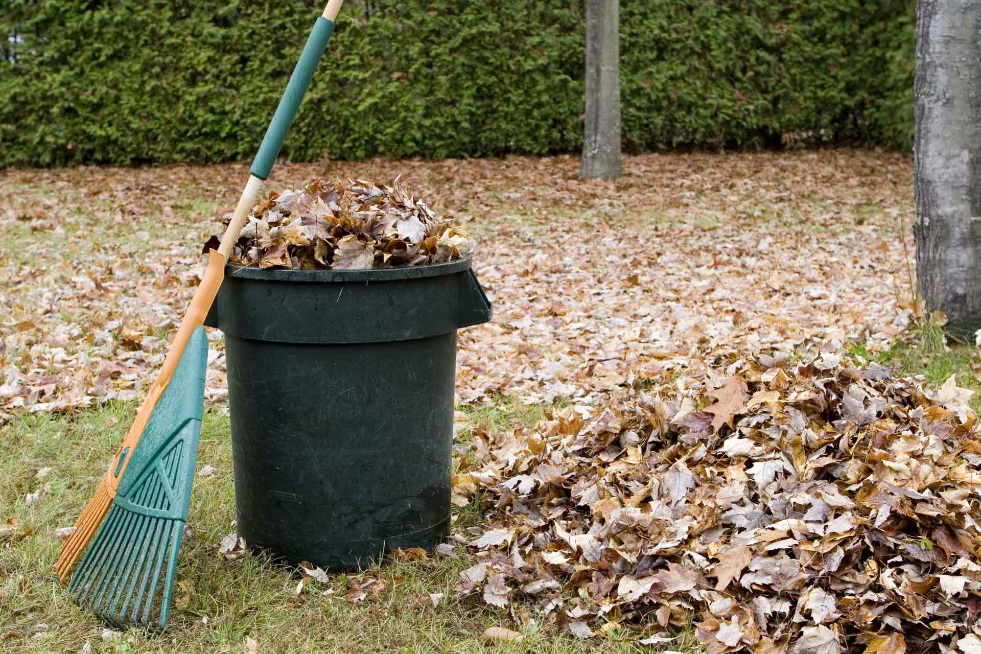 Yard Waste Removal New York, Cost in Spring Valley, Price